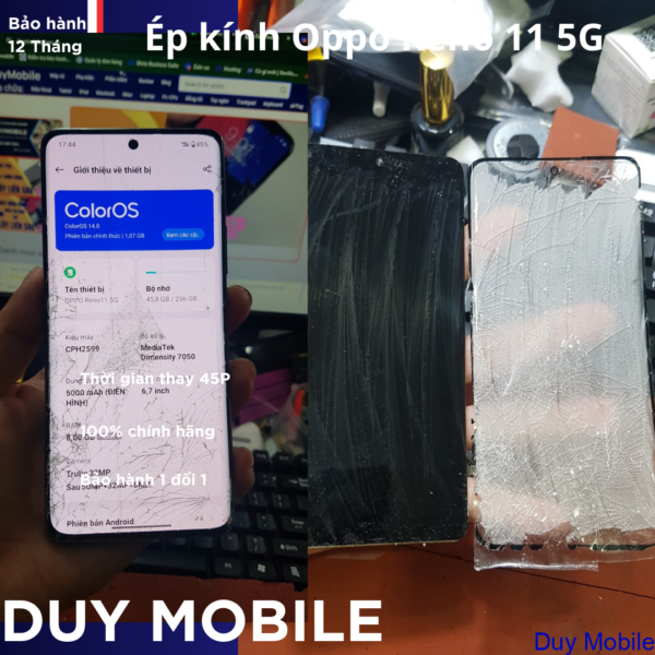 Ép kính Oppo Reno 11 5G