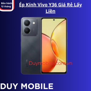 Ép Kính Vivo Y36 Giá Rẻ Lấy Liền