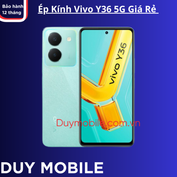 Ép Kính Vivo Y36 5G Giá Rẻ