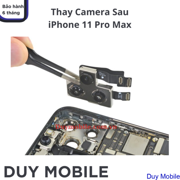 Thay Camera Sau iPhone 11 Pro Max