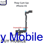 Thay Cụm Chân Sạc iPhone XS
