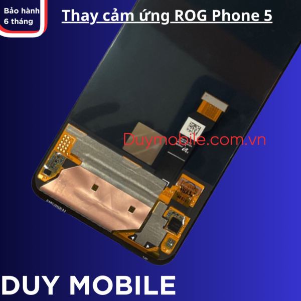 Thay cảm ứng ROG Phone 5