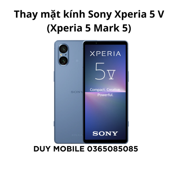 Thay mặt kính Sony Xperia 5 V (Xperia 5 Mark 5)