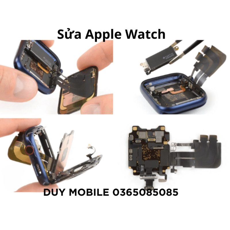 Sửa Apple Watch