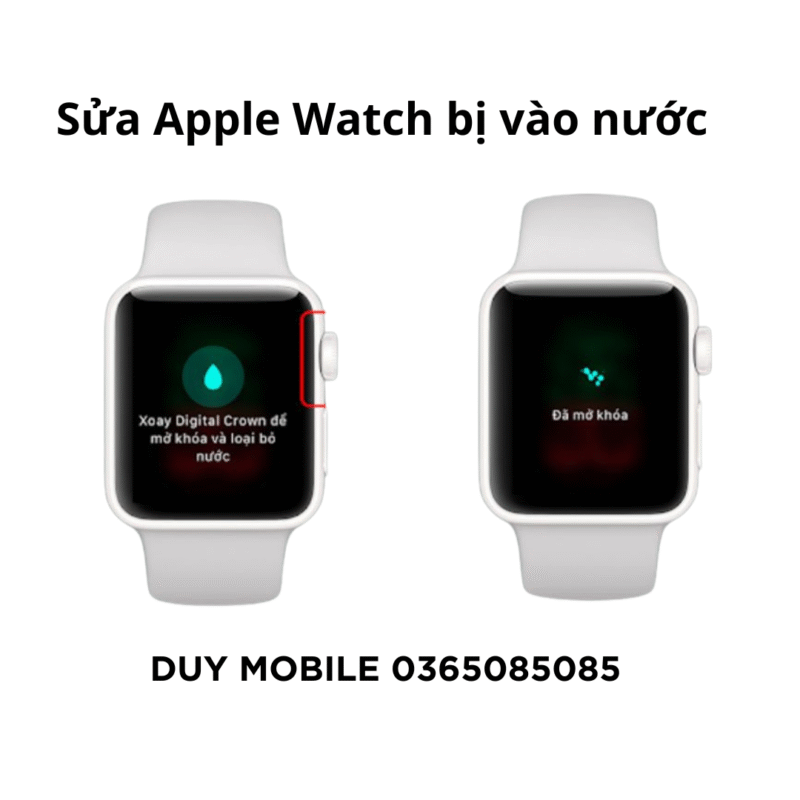sửa Apple Watch bị vào nước,
sửa Apple Watch vào nước,
Apple Watch bị vô nước,
sửa đồng hồ Apple Watch bị ẩm,
sửa Apple Watch Thủ Đức,
Apple Watch không lên sau khi vào nước,
thay pin Apple Watch bị vào nước,
sửa Apple Watch chính hãng,
sửa Apple Watch nhanh tại TP.HCM,
Duy Mobile sửa Apple Watch,