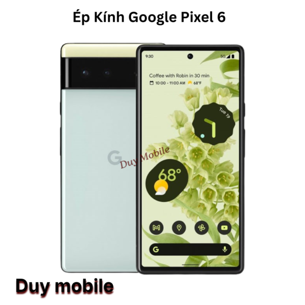 Ép Kính Google Pixel 6
