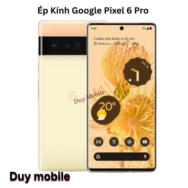 Ép Kính Google Pixel 6 Pro