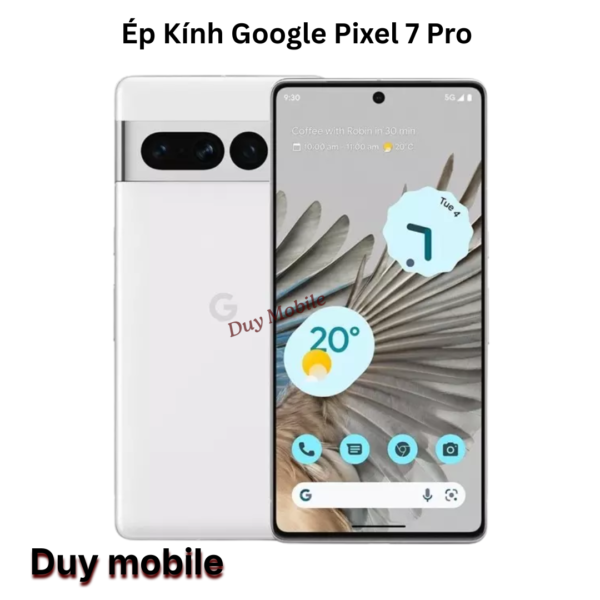 Ép Kính Google Pixel 7 Pro
